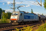 Die E 186 238 (91 80 6186 238-2 D-LTE) der LTE Logistik- und Transport- GmbH fährt am 26 August 2013 mit einem Getreidezug durch Pirna, hier kurz vorm Bahnhof.