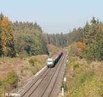 ER20 alias 223 101 zieht kurz vor Oberteich ein Holzzug von Cheb nach Wiesau.