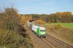 ER20-01 mit dem Wiesau Containerzug bei Oberteich.