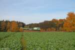 ER20-04 mit einer Überführung von 4 Holztransportwagen + 193 692  Woodwork  + 193 218  Beethoven  nach Regensburg bei Oberteich.