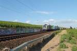 ES64 U2 - 060 mit einem LKW-Walter zwischen Erbach(Rheingau) - Hattenheim.