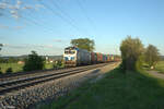 193 980-0 zieht bei Pölling ein Containerzug gen Norden. 14.05.24