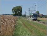 Der LEB RBe 4/8 N° 48 ist als R20 zwischen Bercher und Fey auf dem Weg nach Cheseaux mit Anschluss nach Lausanne per SEV infolge Sommerbauarbeiten. Die 24 km langen Strecke der LEB beginnt in der 'Grossstadt' Lausanne und endet im ländliche ...