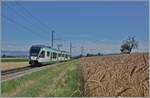 Der LEB RBe 4/8 N° 48 ist als R20 zwischen Bercher und Fey auf dem Weg nach Cheseaux mit Anschluss nach Lausanne per SEV infolge Sommerbauarbeiten. Die 24 km langen Strecke der LEB beginnt in der 'Grossstadt' Lausanne und endet im ländliche ...
