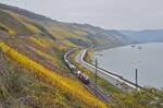 Von einem Wanderweg durch das Weinanbaugebiet des Bopparder Hamms bietet sich dieser schöne Ausblick auf das Mittelrheintal und die linke Rheinstrecke, auf der am 16.11.2024 ein unbekannter Vectron von SBB Cargo in Richtung Süden fährt