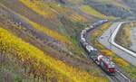 Der auf der vorherigen Aufnahme vom 16.11.2024 gezeigte Vectron von SBB-Cargo am Bopparder Hamm nochmals etwas vergrössert