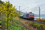 Zwischen den Weinreben des Bopparder Hamm und dem Rhein befördert die SBB-Cargo 482 008-0 am 16.11.2024 einen Kesselwagenzug südwärts