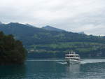 (184'659) - Motorschiff Stadt Thun am 4.