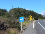 (191'409) - Verkehrsschilderwald am 25. April 2018 bei Whakapapa