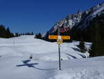 (272'590) - Wegweiser am 2. M�rz 2025 bei der Grossen Scheidegg
