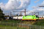 Hectorrail/FLIXTRAIN 242.503 vor KLV Zug wartet in Pattburg/Padborg auf Ausfahrt im Blockabstand des EC 397 nach Hamburg Hbf, 29.09.2024