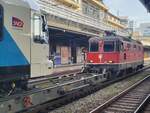 Eine  Personenverkehrs  SBB Re 4/4 II in Lausanne ist nicht alltäglich, so dass ich die SBB Re 4/4 II 11193 (UIC  91 85 4420 193-5 CH-SBB) hier genre fotografiere, doch das interessante ist das SNCF Zeichen am linken Bildrand...
29. Okt. 2025
 Eine  Personenverkehrs  SBB Re 4/4 II in Lausanne ist nicht alltäglich, so dass ich die SBB Re 4/4 II 11193 (UIC  91 85 4420 193-5 CH-SBB) hier genre fotografiere, doch das interessante ist das SNCF Zeichen am linken Bildrand...
29. Okt. 2025