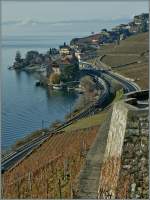 Ein Blick von den winterlichen Weinbergen hinab zu See nach Rivaz, von wo gerade eine  SBB Re 460 mit einem IR kommt.