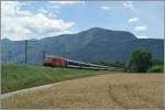 Auf der Fahrt nach Locarno ist der Fluss Ticino ist ein letztes Mal überbrückt worden und der IR erreicht in Kürze sein Ziel.