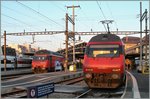 Zwei Re 460 mit ihren IR/IC Zügen im Morgenlicht in Lausanne.