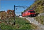 Die SBB Re 460 074-8 mit einem IC zwischen Bossière und Grandvaux.