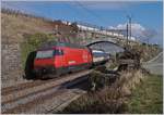 Die SBB Re 460 037-5 schiebt bei Cully einen IR Richtung Brig.