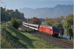 Kurz nach Villeneuve zieht die SBB Re 460 049-0 ihren IR Richtung Genève Aéroport.