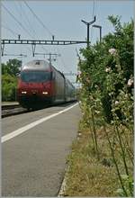 Die SBB Re 460 040-9 fährt mit einem IC nach St.Gallen in Lonay-Préveranges durch.