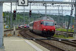 SBB 460 053 durcheilt Brugg AG am 25 Mai 2019.