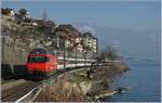 Eine SBB Re 460 mit einem IR nach Genève Aéropport bei St-Saphorin.