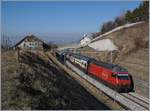 Die SBB Re 460 036-7 ist mit einem IC in Richtung Bern zwischen Bossiéres und Grandvaux unterwegs.