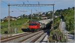 Eine SBB Re 460 mit einem IC nach Genève Aéroport bei Bossière.