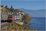 Die SBB Re 460 044-1 ist mit einem IR bei St-Saphorin auf der Fahrt nach Genève Aéroport.