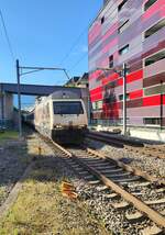 Die SBB Re 460 019-3  175 Jahre Schweizer Bahnen   erreicht mit einem IR 90 nach Genève Aéroport den Bahnhof von Montreux.