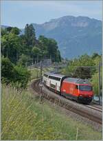 Kurz nach Villeneuve ist eine SBB Re 460 mit ihrem IR 90/95 auf dem Weg von Brig nach Genève-Aéroport.

28. Mai 2025
