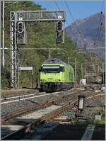 Und schon kommt sie wieder zurück: Die BLS Re 465 013 fährt als Lokfahrt durch den Bahnhof von Preglia.