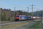 Mit der SBB Re 474 016 und einer weiteren Lok dieser Baureihe erreicht ein nach Süden fahrender Güterzug Mülenen.