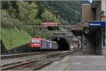 Die 484 014 und eine weitere fahren mit ihrem Güterzug durch den Bahnhof von Wassen. 

19. Okt. 2023