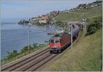 Die rote SBB Re 6/6 11630 (Re 620 030-7)  Herzogenbuchsee  ist mit einen Kesselwagen Ganzzug zwischen Rivaz und St-Saphorin auf me Weg nach St-Triphon. 

19. Mai 2025