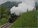 Die LEB G 3/3 N° 5 führt eine Dampfzg mit vier Loks und einigen Wagen an.