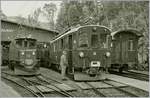 Bernina-Bahn Abmieten bei der Blonay-Chamby Bahn in Chaulin: Ge 4/4 182 und ABe 4/4 35.