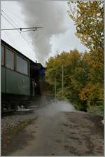 Ein Bahnbild der etwas anderen Art: Dampfambiente einmal aus der Froschperspektive und als Nachschuss...