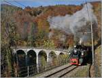 Die Blonay-Chamby G 2x 2/2 105 dampft zum Saison Abschluss (2021) durch die herbstliche Landschaft bei Vers chez Robert in Richtung Chamby.