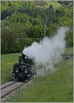 Allein dampft die LEB G 3/3 N° 5 der Blonay-Chamby Bahn bei Cornaux in Richtung Blonay.