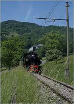 Die SEG G 2x 2/2 105 der Blonay-Chamby Bahn ist bei Cornaux auf dem Weg nach Chamby.