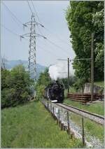 Kurz vor Kilometer 8.2 ist die BFD HG 3/4 N° der Blonay Chamby Bahn mit ihrem Dampfzug auf dem Weg nach Chaulin (via Chamby).