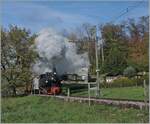 La DER du Blonay Chamby / Saisonabschuss 2024 - Die SEG G 2x 2/2 105 der Blonay Chamby Bahn ist mit ihrem Dampfzug bei Chaulin auf dem weg nach Chamby.