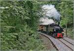 Les chemin de fer disparus - Die verschwundenen Bahnen (Zell - Todtnau 1889 1967) - Die SEG G 2x 2/2 105 der Blonay - Chamby Bahn ist mit ihrem Personenzug 10557 von Blonay nach Chaulin kurz vor dem Baye da Clarens Viadukt angekommen. 

13. Sept. 2025