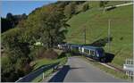 Der GoldenPass Express ist bei Enge im Simmental auf dem Weg nach Montreux.