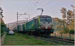 Die BLS Re 475 412 und eine weitere fahren im Schatten mit einem via Alte Hauensteinlinie umgeleiteten Güterzug Richtung Sissach.