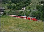 Ein MGB Regionalzug nach Fiesch kurz vor Neubrück.