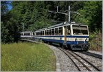 Rochers de Naye Bhe 4/8 301 und 304 erreichen Le Tremblex.