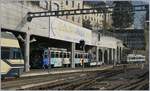 Rocheres de Naye Bhe 4/8 302 und 301 in Montreux.