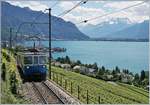 Der MOB ABDe 8/8 4004  Fribourg  auf der Fahrt nach Chernex oberhalb von Montreux kurz vor Châtelard VD.