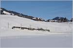 Der MOB Golden Pass Panoramic Zug auf den Weg Richtung Zweisimmen kurz vor Schönried.